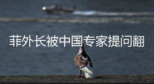 菲外長被中國專家提問翻手機找答案，一場深度交流的微觀解讀