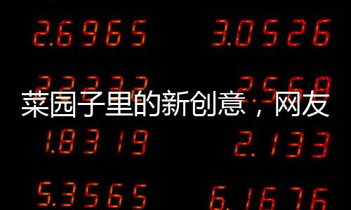 菜園子里的新創(chuàng)意，網(wǎng)友設(shè)專用通道養(yǎng)雞新模式