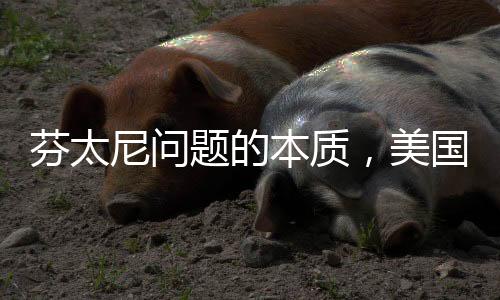 芬太尼問題的本質(zhì)，美國面臨的挑戰(zhàn)