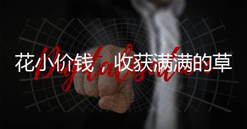 花小價(jià)錢，收獲滿滿的草莓，僅需花費(fèi)六十多元購買三十斤新鮮草莓，帶你領(lǐng)略水果之王的魅力