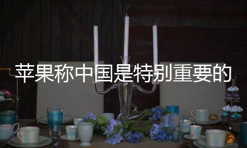 蘋果稱中國是特別重要的市場 將繼續(xù)進行大規(guī)模投資