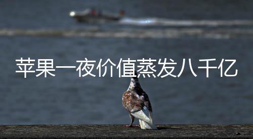 蘋(píng)果一夜價(jià)值蒸發(fā)八千億，探索背后深層次的原因及展望未來(lái)發(fā)展