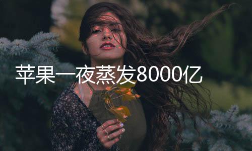 蘋(píng)果一夜蒸發(fā)8000億，探究背后的深層原因與行業(yè)分析