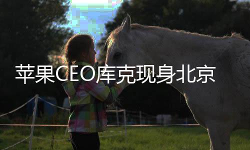 蘋果CEO庫克現(xiàn)身北京，登景山公園領(lǐng)略古都魅力