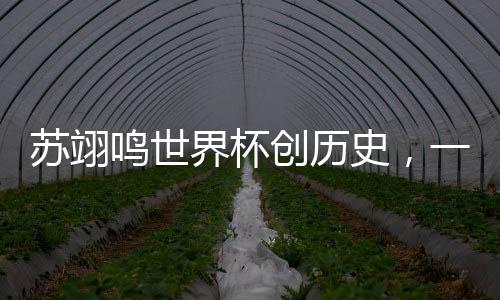 蘇翊鳴世界杯創(chuàng)歷史，一鳴驚人，開啟中國滑雪新篇章