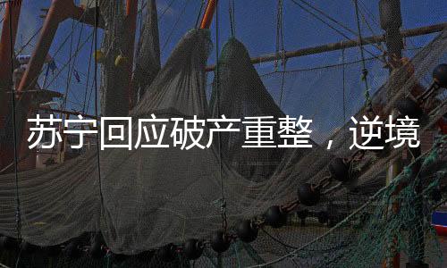 蘇寧回應(yīng)破產(chǎn)重整，逆境中的重生與轉(zhuǎn)型之路