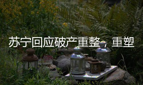 蘇寧回應破產(chǎn)重整，重塑輝煌的戰(zhàn)略調(diào)整與未來發(fā)展動向