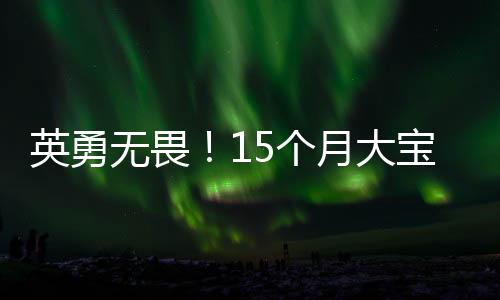 英勇無畏！15個(gè)月大寶寶滾爬救媽
