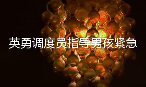 英勇調(diào)度員指導男孩緊急接生，親情至上的救援故事傳遞溫情