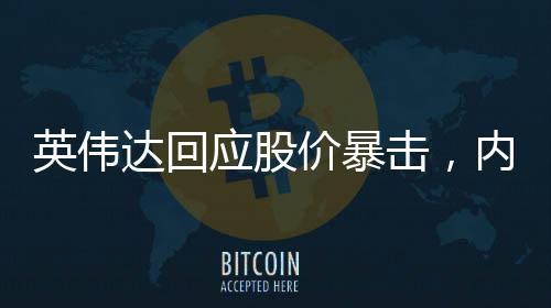 英偉達(dá)回應(yīng)股價(jià)暴擊，內(nèi)部分析與市場洞察