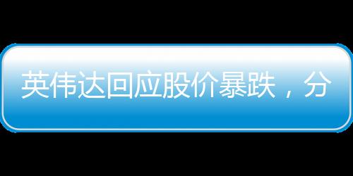 英偉達(dá)回應(yīng)股價(jià)暴跌，分析與展望