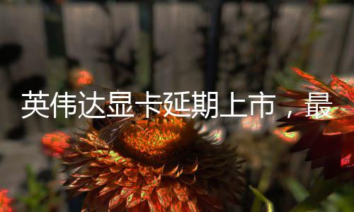 英偉達(dá)顯卡延期上市，最新動態(tài)與技術(shù)展望