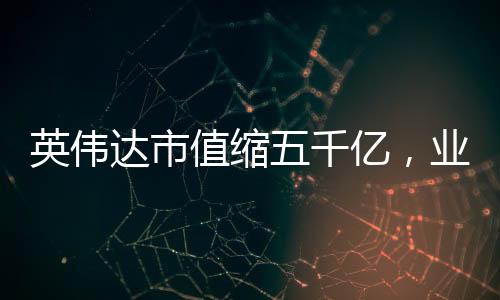 英偉達(dá)市值縮五千億，業(yè)務(wù)變革引市場(chǎng)震蕩