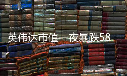 英偉達市值一夜暴跌5890億美元，市值巨震引發(fā)全球關注