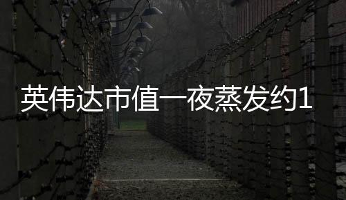英偉達(dá)市值一夜蒸發(fā)約1.2萬億元，全球科技巨頭遭遇重大挑戰(zhàn)