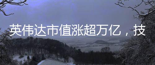 英偉達(dá)市值漲超萬億，技術(shù)巨頭的崛起與未來展望
