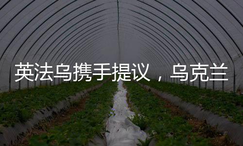 英法烏攜手提議，烏克蘭和平計劃邁向新篇章