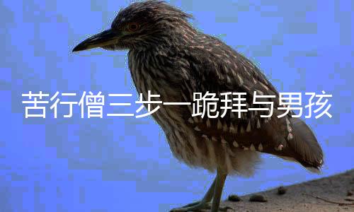 苦行僧三步一跪拜與男孩撿橘子被送糖，人世間的善與信