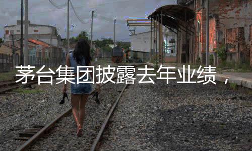 茅臺集團披露去年業(yè)績，業(yè)績亮眼引發(fā)市場熱議