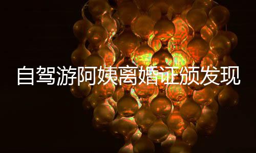 自駕游阿姨離婚證頒發(fā)現(xiàn)場，笑容背后的故事引人深思