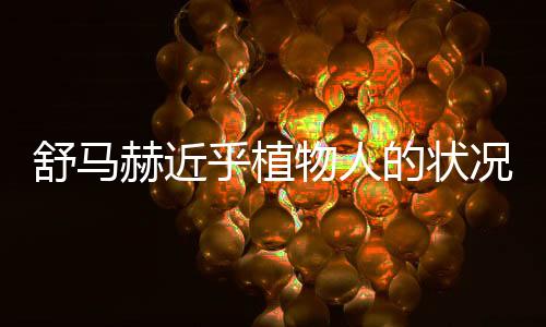 舒馬赫近乎植物人的狀況更新