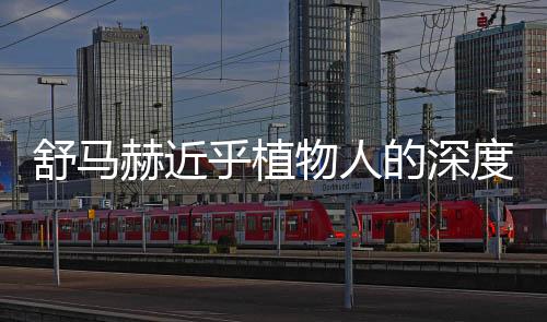 舒馬赫近乎植物人的深度報(bào)道