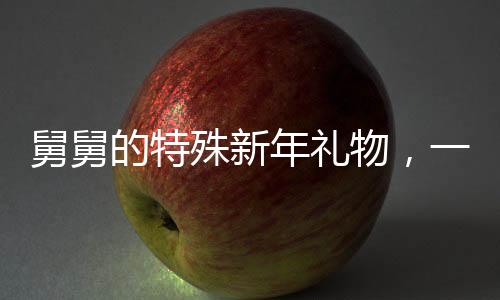 舅舅的特殊新年禮物，一車溫馨關(guān)懷與難言之情交織的瞬間