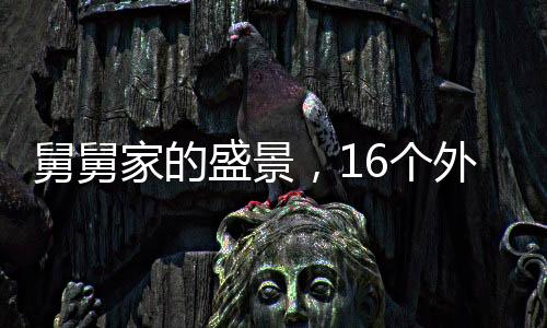 舅舅家的盛景，16個外甥齊聚一堂