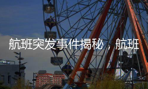 航班突發(fā)事件揭秘，航班上12個(gè)廁所堵塞，緊急應(yīng)對(duì)保障旅客權(quán)益！