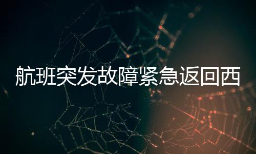 航班突發(fā)故障緊急返回西安，疑似發(fā)動機起火事件調查