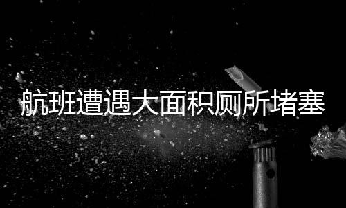 航班遭遇大面積廁所堵塞，只因特殊緊急情況——航班堵塞風(fēng)波，突破極端廁所問(wèn)題回顧