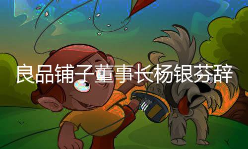 良品鋪?zhàn)佣麻L(zhǎng)楊銀芬辭職，企業(yè)轉(zhuǎn)型的關(guān)鍵時(shí)刻的重大人事變動(dòng)