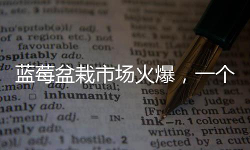 藍莓盆栽市場火爆，一個月成交超百萬盆——探究盆栽熱潮背后的動因