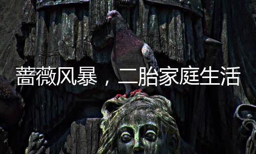 薔薇風(fēng)暴，二胎家庭生活真實寫照