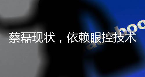 蔡磊現(xiàn)狀，依賴眼控技術(shù)交流