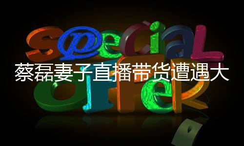 蔡磊妻子直播帶貨遭遇大量惡評事件揭秘