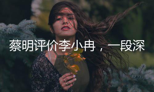 蔡明評價(jià)李小冉，一段深度的解讀與解析（新聞文章）