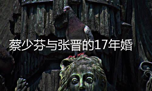 蔡少芬與張晉的17年婚姻，愛情長跑背后的堅守與幸福
