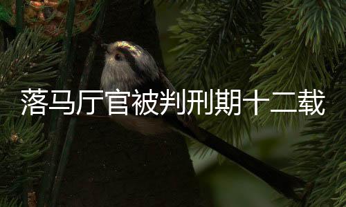 落馬廳官被判刑期十二載，私藏三百六十九發(fā)子彈背后的故事