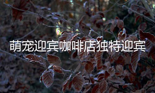 萌寵迎賓咖啡店獨(dú)特迎賓方式，貓咪化身溫馨接待員