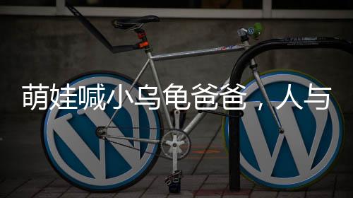 萌娃喊小烏龜爸爸，人與自然的奇妙互動