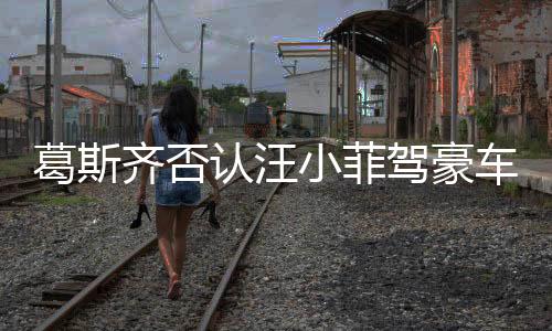 葛斯齊否認(rèn)汪小菲駕豪車(chē)赴S家哀悼，真相背后的復(fù)雜情感糾葛