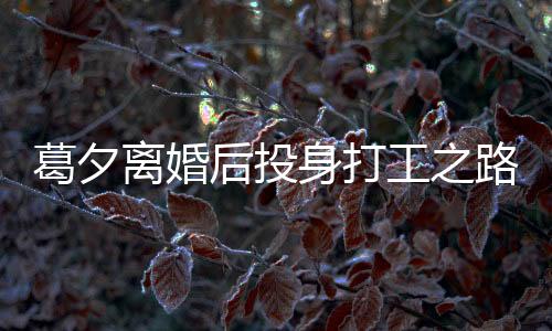 葛夕離婚后投身打工之路，在留幾手嶄露頭角的新篇章