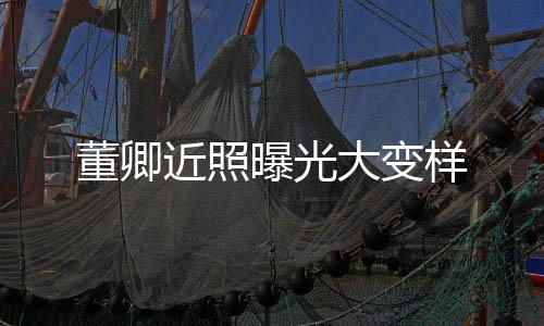 董卿近照曝光大變樣