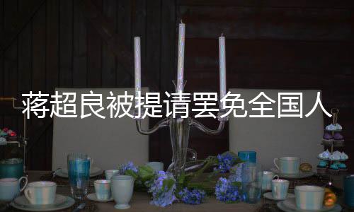蔣超良被提請(qǐng)罷免全國(guó)人大代表職務(wù)