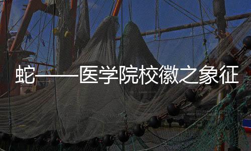 蛇——醫(yī)學(xué)院?；罩笳?，學(xué)術(shù)與進(jìn)步的融合
