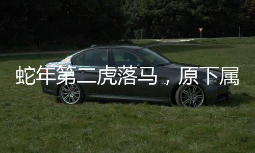 蛇年第二虎落馬，原下屬多人被查——揭示內(nèi)部腐敗的冰山一角