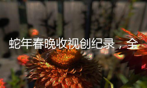 蛇年春晚收視創(chuàng)紀(jì)錄，全國觀眾熱情高漲，收視率突破歷史新高度