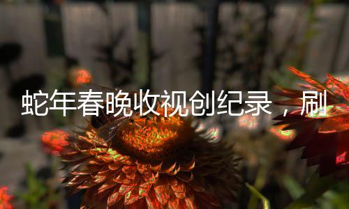 蛇年春晚收視創(chuàng)紀錄，刷新歷史，成為全民盛宴