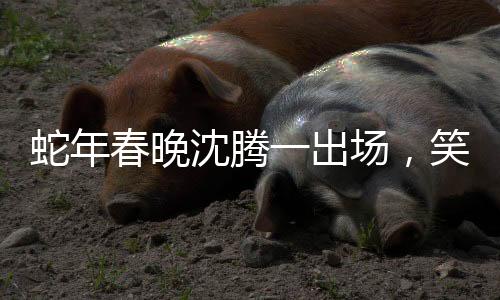 蛇年春晚沈騰一出場(chǎng)，笑果炸裂——為觀眾帶來歡樂的巔峰時(shí)刻